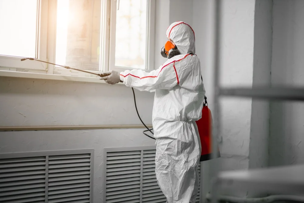 Professional mold remediation services in Longbranch, WA